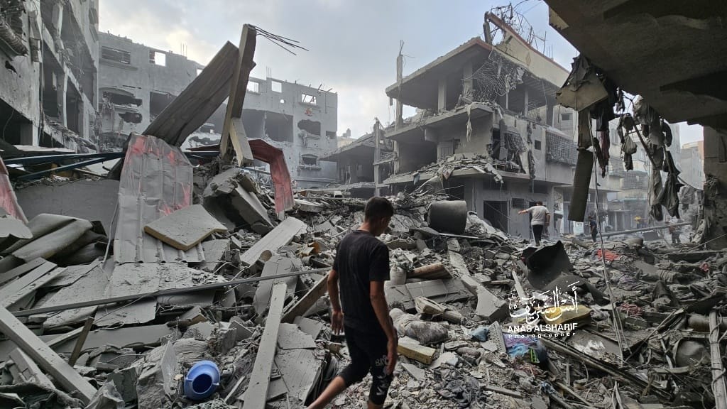 WhatsApp Image 2023-10-23 at 09.07.39.jpeg